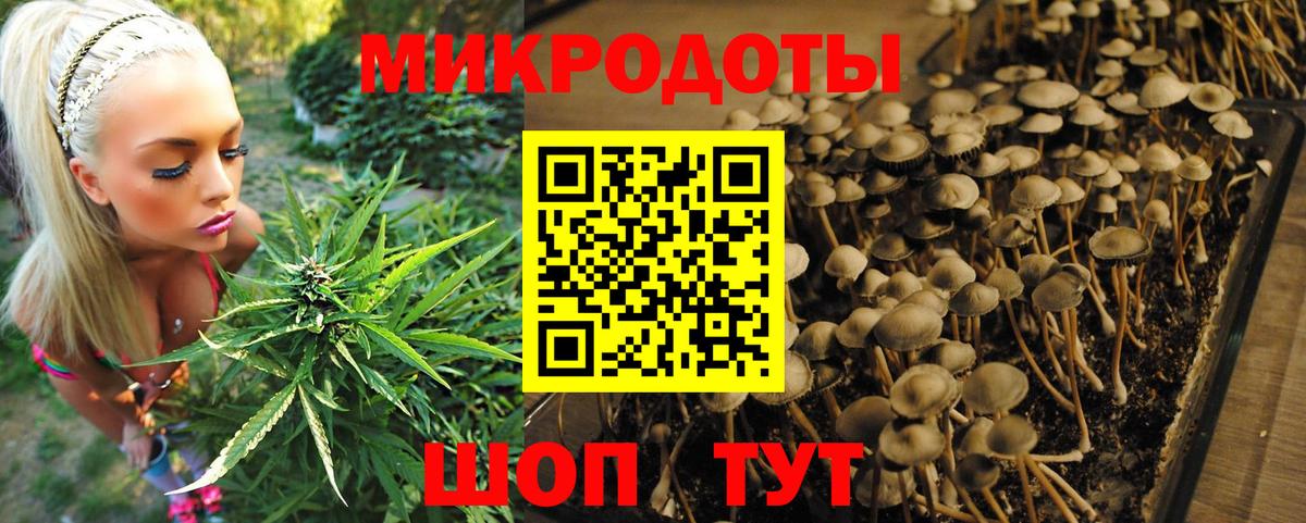 Псилоцибиновые грибы GOLDEN TEACHER  Псилоцибиновые грибы мицелий  Отрадный  Вход с VPN 
